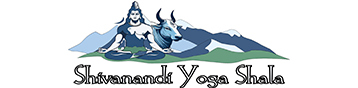 Shiva Nandi Yogashala image